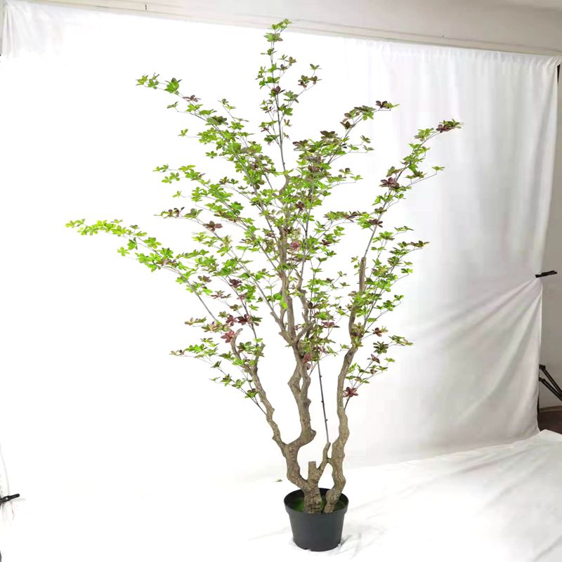 Simulation hanging clock tree Simulation hanging clock tree