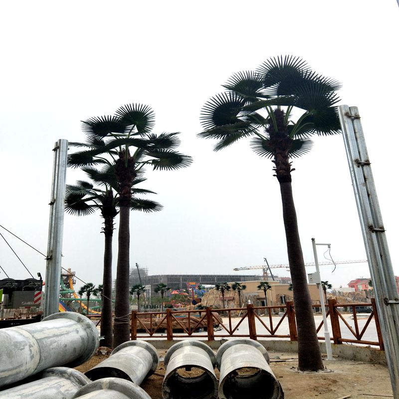 Simulation coconut tree Simulation coconut tree