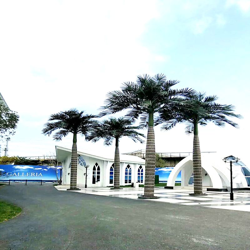 Simulation coconut tree Simulation coconut tree