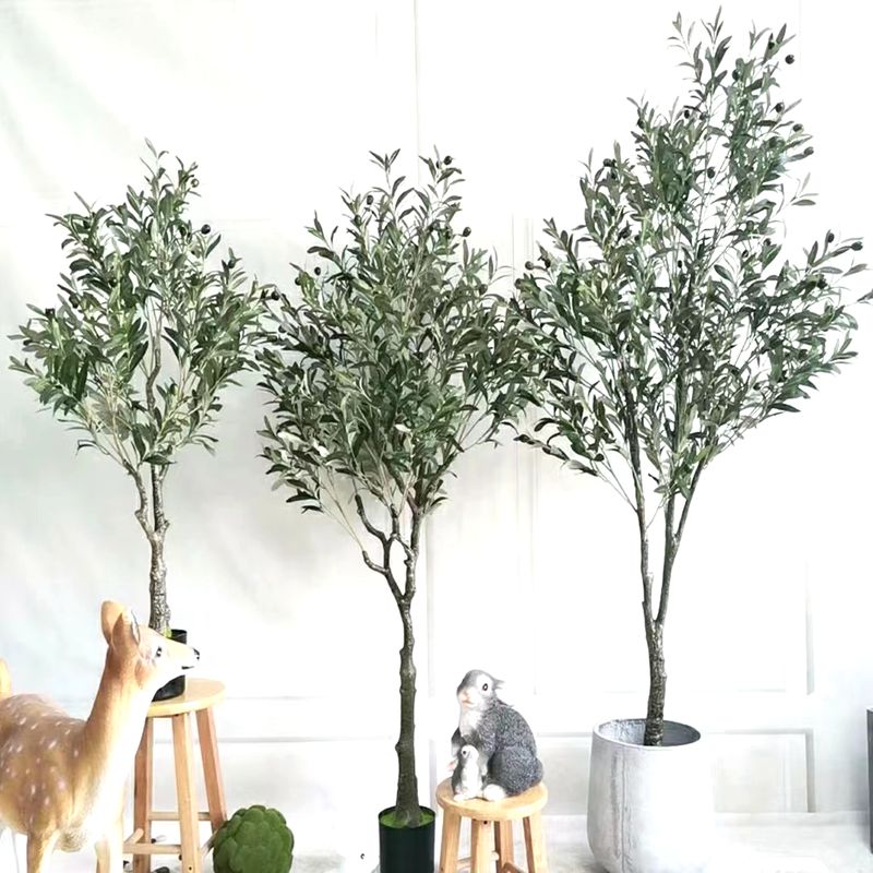 Simulation olive tree Simulation olive tree