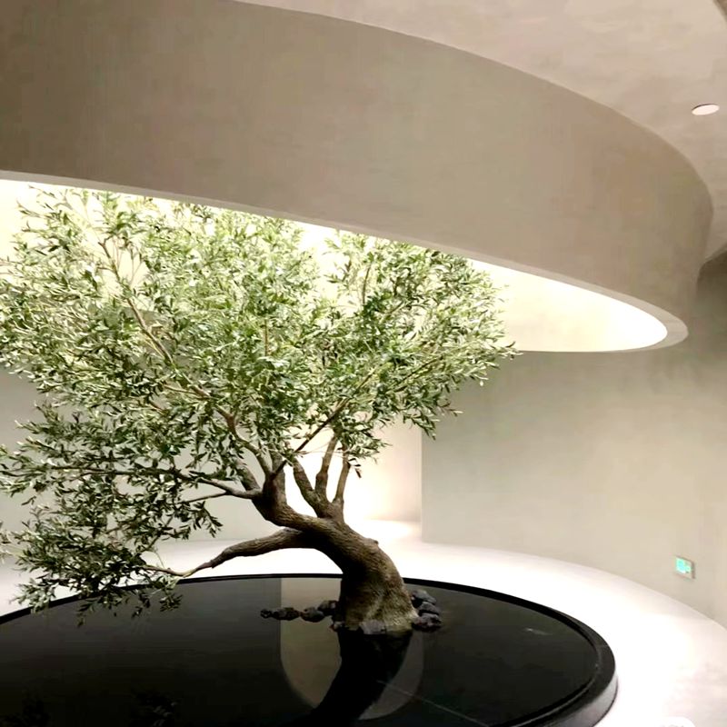 Simulation olive tree Simulation olive tree