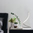 curvy table light
